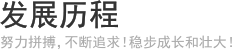 发展历程 - 努力拼搏，不断追求！稳步成长和壮大！